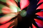 hanabi2011-82.jpg