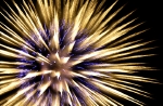 hanabi2011-101.jpg