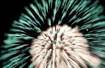 hanabi2011-90.jpg
