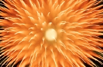 hanabi2011-92.jpg