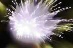 hanabi2011-94.jpg