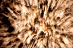 hanabi2011-96.jpg
