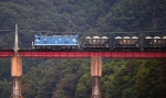 saisin-2090.jpg