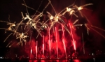 hanabi2011-180,pct.jpg