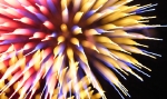 hanabi2011-160.jpg