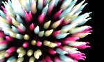 hanabi2011-161.jpg