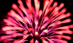 hanabi2011-164.jpg