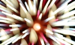 hanabi2011-211.jpg