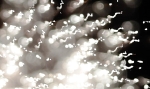 hanabi2011-2168.jpg