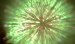 hanabi2011-2169.jpg