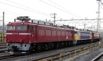 saisin-2-2390.jpg