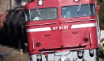 saisin-2-2470.jpg