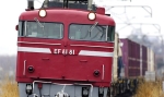 saisin-2-2494.jpg