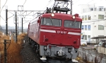 saisin-2-2496.jpg