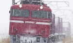 saisin-2-2502.jpg
