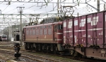 saisin-2-2576.jpg