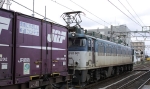 saisin-2-2581.jpg