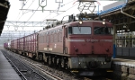 saisin-2-2583.jpg
