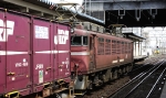 saisin-2-2585.jpg