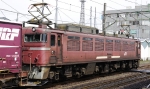 saisin-2-2587.jpg