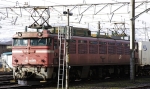 saisin-2-2589.jpg