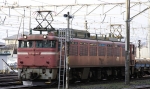 saisin-2-2592.jpg
