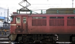 saisin-2-2590.jpg