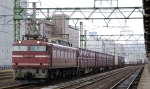 saisin-2-2572.jpg