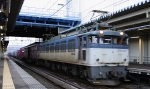saisin-2-2579.jpg