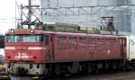 saisin-2-2650.jpg
