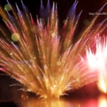 saisin2019 8.17-53.jpg
