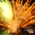saisin2019.8.25-60.jpg