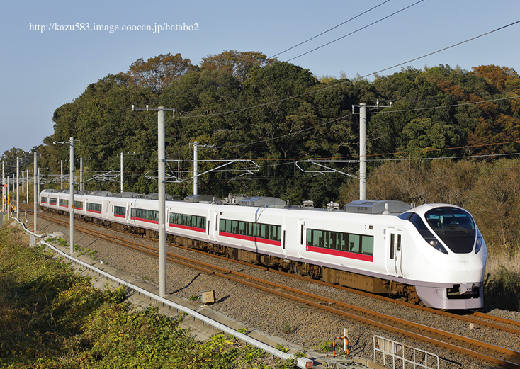 saisin2019.11.9-8.jpg
