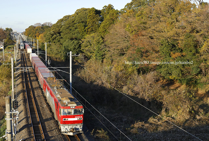 saisin2019.11.29-4.jpg