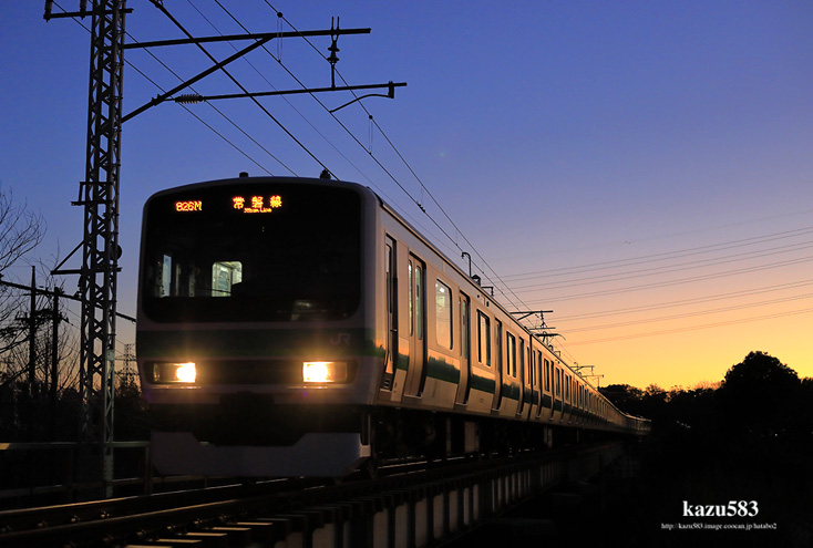 saisin2020.2.1-3.jpg