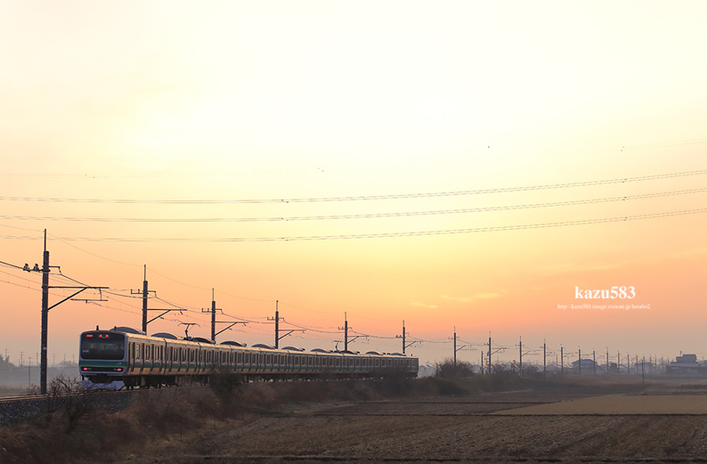 5d2020.2.15-13.jpg