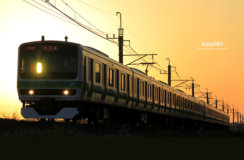 5d2020.2.22-8.jpg