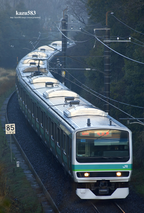 saisin2020.3.5-3.jpg