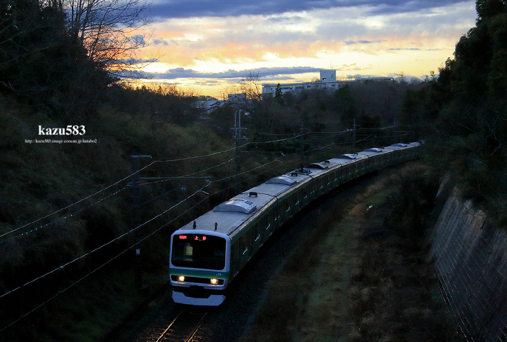 saisin2020.3.11-4.jpg