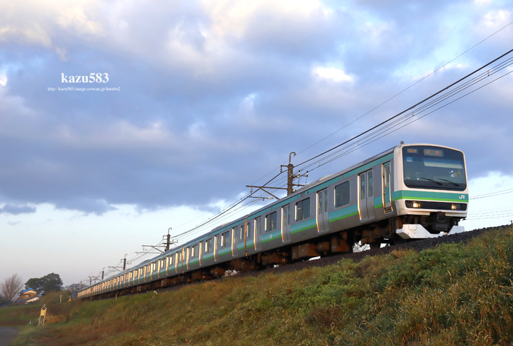 saisin2020.3.24-2.jpg