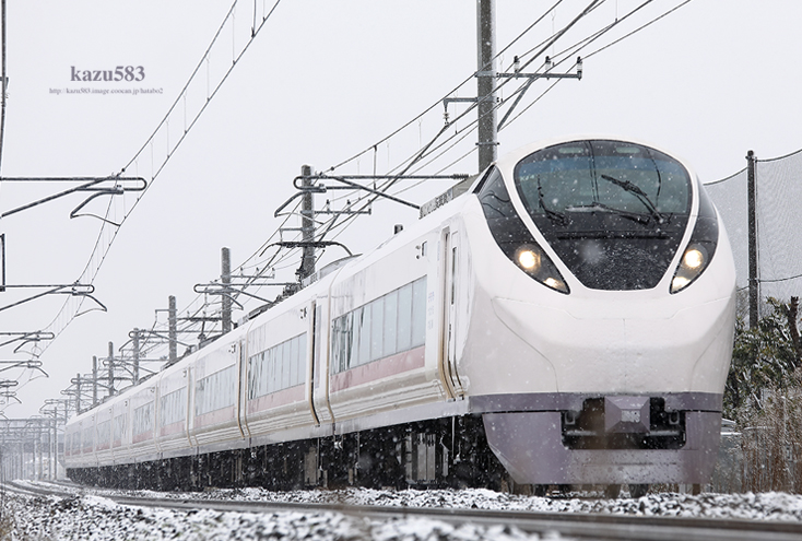 saisin2020.3.29-1.jpg
