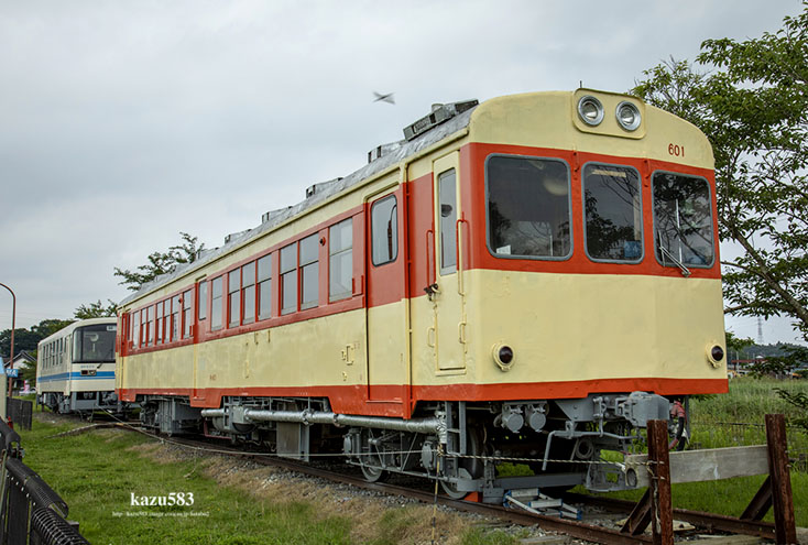 saisin2020.7.24-8.jpg