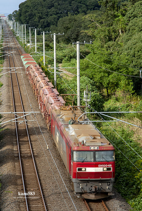saisin2020.10.14-10.jpg