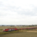 saisin-051129-8.jpg