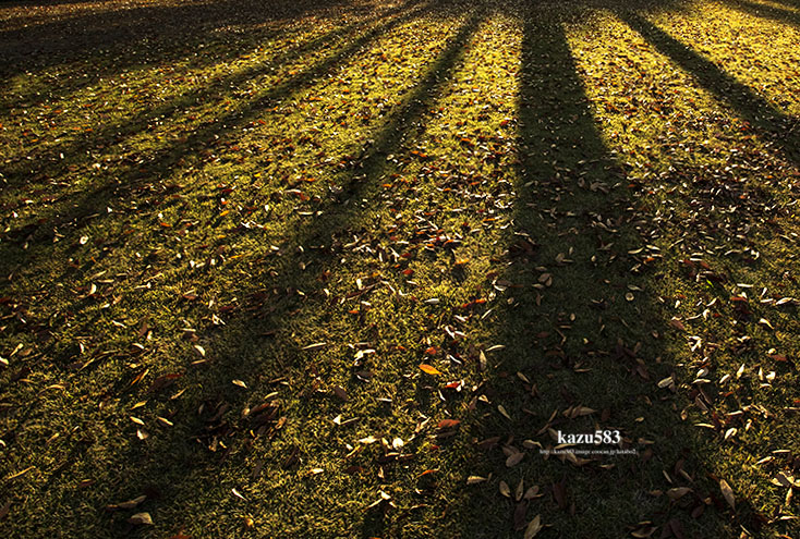 saisin2020.11.13-5.jpg
