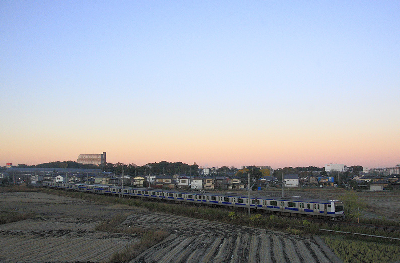 saisin-2015.12.5.2.jpg