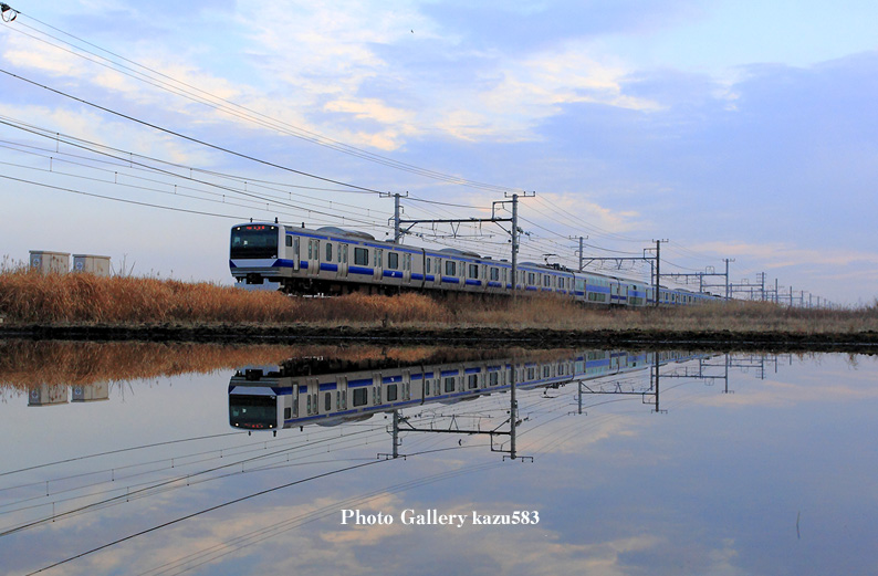 saisin-2016.2.2-1.jpg