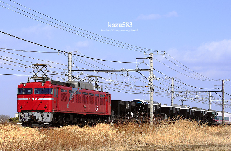 saisin-2016.2.10-4.jpg