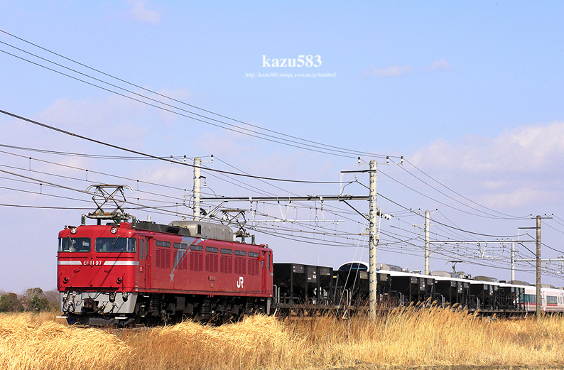 saisin-2016.2.10-5.jpg