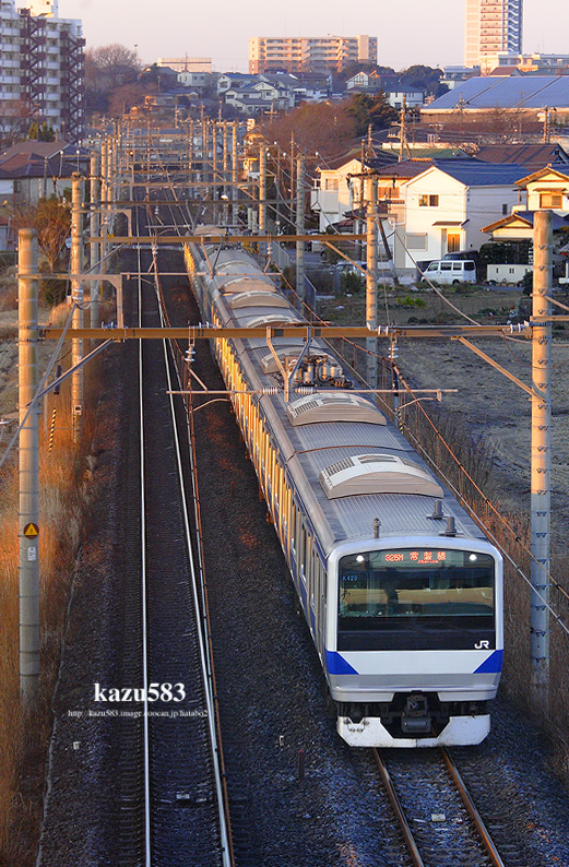 saisin-2016.2.11-3.jpg